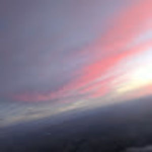 Meet your Posher, Dalton